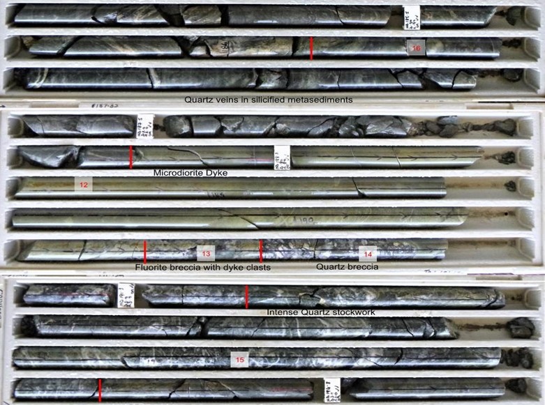 Figure 2 - CADH004  Quartz veining and quartz vein stockwork extending from approximately 186.2 to 193.8 metres down hole.